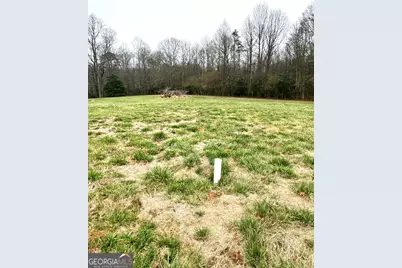 316 Bar Rod Road, Demorest, GA 30535 - Photo 10