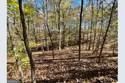 501 Raleigh Road, Woodbury, GA 30293 - Photo 50