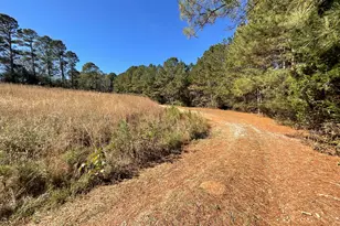 501 Raleigh Rd, Woodbury, GA 30293 - Photo 48