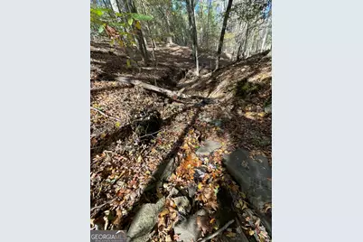 501 Raleigh Road, Woodbury, GA 30293 - Photo 54