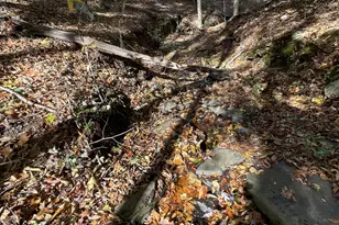 501 Raleigh Rd, Woodbury, GA 30293 - Photo 54