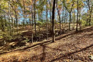 501 Raleigh Rd, Woodbury, GA 30293 - Photo 52