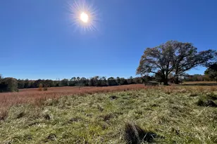 501 Raleigh Rd, Woodbury, GA 30293 - Photo 90