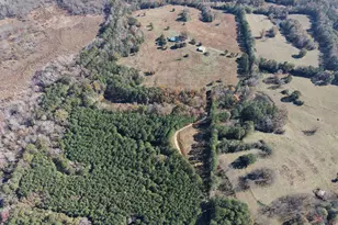 501 Raleigh Rd, Woodbury, GA 30293 - Photo 94