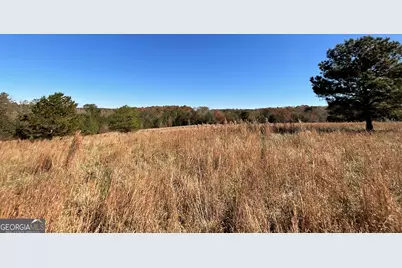 501 Raleigh Road, Woodbury, GA 30293 - Photo 92