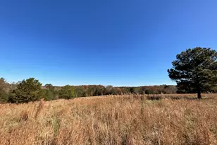 501 Raleigh Rd, Woodbury, GA 30293 - Photo 92