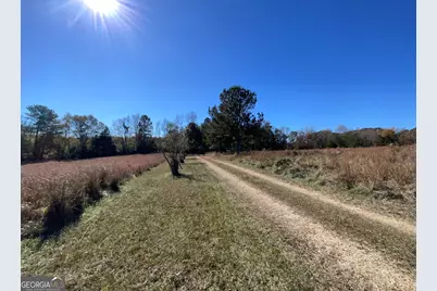 501 Raleigh Road, Woodbury, GA 30293 - Photo 8