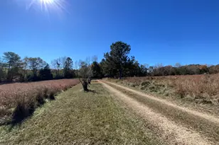 501 Raleigh Rd, Woodbury, GA 30293 - Photo 8