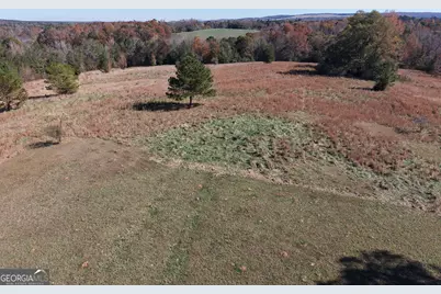 501 Raleigh Road, Woodbury, GA 30293 - Photo 44