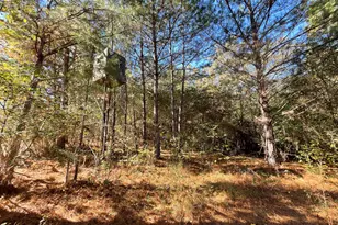 501 Raleigh Rd, Woodbury, GA 30293 - Photo 6