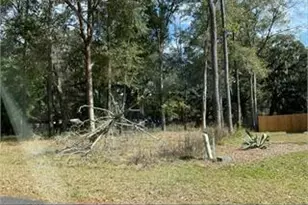 V/L Sabinas Way, Saint Marys, GA 31558 - Photo 1