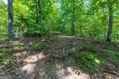 0 E Hermitage Road NE #LOT 6, Rome, GA 30161 - Photo 22