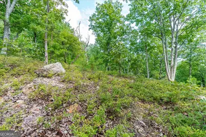 0 E Hermitage Road NE #LOT 6, Rome, GA 30161 - Photo 30