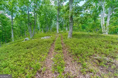 0 E Hermitage Road NE #LOT 6, Rome, GA 30161 - Photo 28