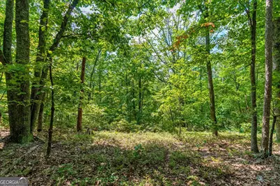 0 E Hermitage Road NE #LOT 6, Rome, GA 30161 - Photo 20