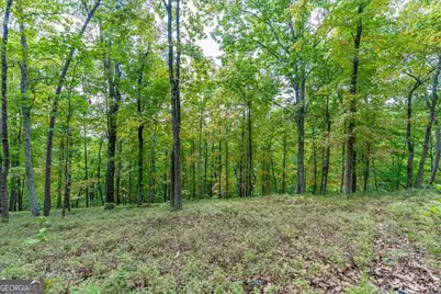 0 E Hermitage Road NE #LOT 6, Rome, GA 30161 - Photo 26