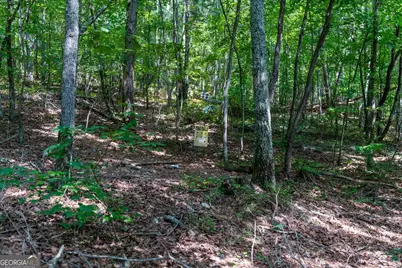 0 E Hermitage Road NE #LOT 6, Rome, GA 30161 - Photo 12