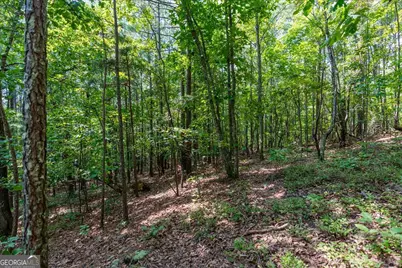 0 E Hermitage Road NE #LOT 6, Rome, GA 30161 - Photo 14