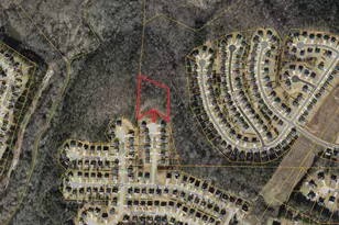 0 Haley Ln, Hampton, GA 30228 - Photo 1