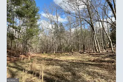 4360 Pool Road, Winston, GA 30187 - Photo 2