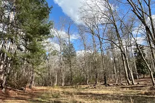 4360 Pool Rd, Winston, GA 30187 - Photo 4