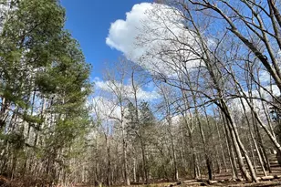 4360 Pool Rd, Winston, GA 30187 - Photo 1