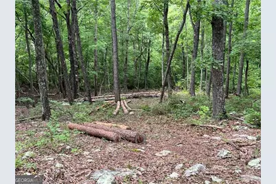0 Mulberry Court, Jasper, GA 30143 - Photo 2