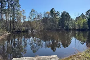 442 Fox Run Rd, Adrian, GA 31002 - Photo 1