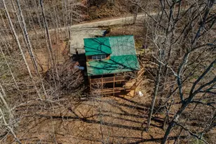 257 Aj's Holler, Blairsville, GA 30512 - Photo 60