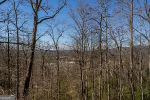 257 Aj's Holler, Blairsville, GA 30512 - Photo 52