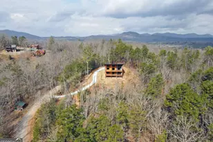 391 Crabapple Ln, Mineral Bluff, GA 30559 - Photo 10