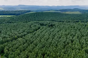 Tract 5 Back Valley Rd, Lyerly, GA 30730 - Photo 1