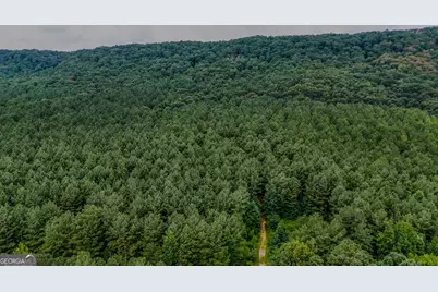 Tract 3 Back Valley Road, Lyerly, GA 30730 - Photo 2