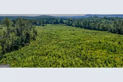 Tract 1 Back Valley Road, Lyerly, GA 30730 - Photo 4