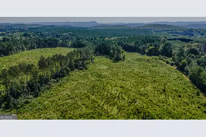 Tract 1 Back Valley Road, Lyerly, GA 30730 - Photo 10