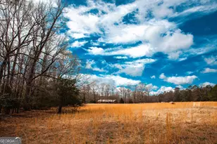 1215 Guillebeau Rd, Lincolnton, GA 30817 - Photo 30