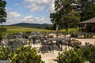 84 Bravo Rivera Way, Ellijay, GA 30536 - Photo 92