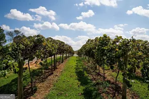 84 Bravo Rivera Way, Ellijay, GA 30536 - Photo 94