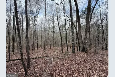 0 Cheryl Street #LOTS 38, 39, 40, Luthersville, GA 30251 - Photo 4