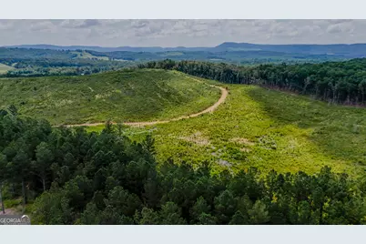 Tract 8 Back Valley Road, Lyerly, GA 30730 - Photo 10