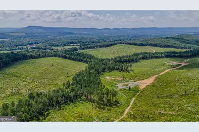 0 Back Valley Road #TRACT 8, Lyerly, GA 30730 - Photo 4