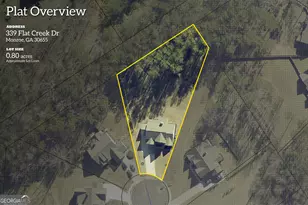 339 Flt Crk Dr, Monroe, GA 30655 - Photo 44