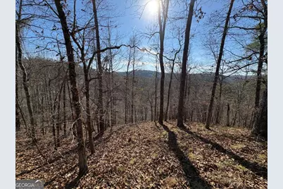 0 Lawrence Road, Dawsonville, GA 30534 - Photo 8