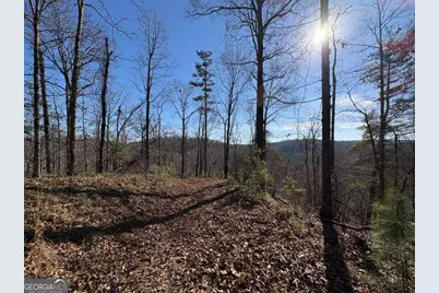 0 Lawrence Road, Dawsonville, GA 30534 - Photo 12