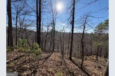 0 Lawrence Road, Dawsonville, GA 30534 - Photo 10