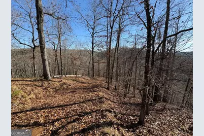 0 Lawrence Road, Dawsonville, GA 30534 - Photo 6