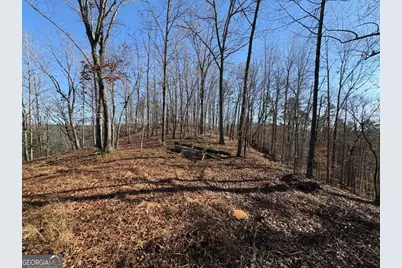 0 Lawrence Road, Dawsonville, GA 30534 - Photo 1
