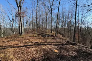 0 Lawrence Rd, Dawsonville, GA 30534 - Photo 1