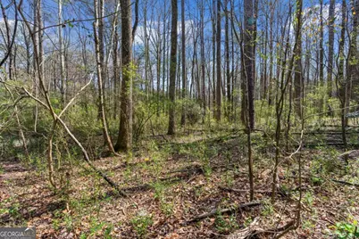 3222 Crossing Drive, Snellville, GA 30078 - Photo 8