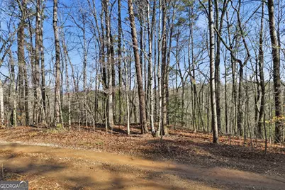 0 Winters Mountain Road, Dahlonega, GA 30533 - Photo 4